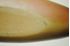 Picture of Ceramic fish plate