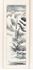 Picture of Chinese hand painted scroll