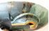 Picture of Narcissi pottery bowl