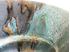 Picture of Narcissi pottery bowl
