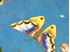 Picture of Japanese Meiji period Cloisonne plate