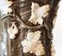 Picture of Pair of 19th Century stoneware vases