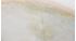 Picture of Chinese Canton plate