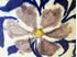 Picture of Early Oriental vase with flowers