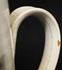 Picture of Scheier cup