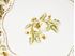 Picture of Elite Limoges scalloped edge plate