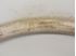 Picture of Antique Japanese charger 15 3/4" diameter