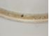 Picture of Antique Japanese charger 15 3/4" diameter