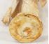 Picture of Japanese Meiji period carved bone sculpture 10 1/2" tall