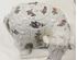 Picture of Pair of French PORCELAINE DE PARIS elephants 7" tall, 7" wide