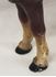 Picture of Hubley Cast Iron Horse Doorstop 10 3/4" long, 7"tall