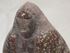 Picture of Indian Native American marble sculpture, signed GY and dated. 12" tall, weight 8 Lb