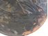 Picture of Antique 1885 bronze plaque 11 1/2" diameter