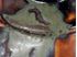 Picture of  Nice antique Enamel glazed vine pitcher