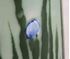 Picture of Chinese celadon vase / hat stand with applied design