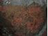 Picture of Chinese bronze bowl