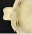 Picture of Chinese jade leaf bowl
