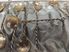 Picture of Set of 1870's silver coin spoons with provenance