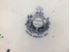 Picture of Pair of TJ & J Mayer Earthenware "Flower Vase" dinner plates