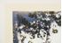 Picture of J Robinson Neville "Burkehaven" hand-colored photo