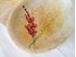 Picture of Edward Radford pottery dish
