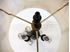Picture of Table lamp with Classic by Diane shade