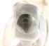Picture of Lalique Sparrow bird crystal figurine