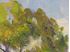 Picture of Frank Easton (1884 - 1960's) "Colorado Landscape"