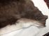 Picture of Norwegian Deer skin rug