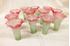 Picture of Lot of 12 Tulip frosted glass shades